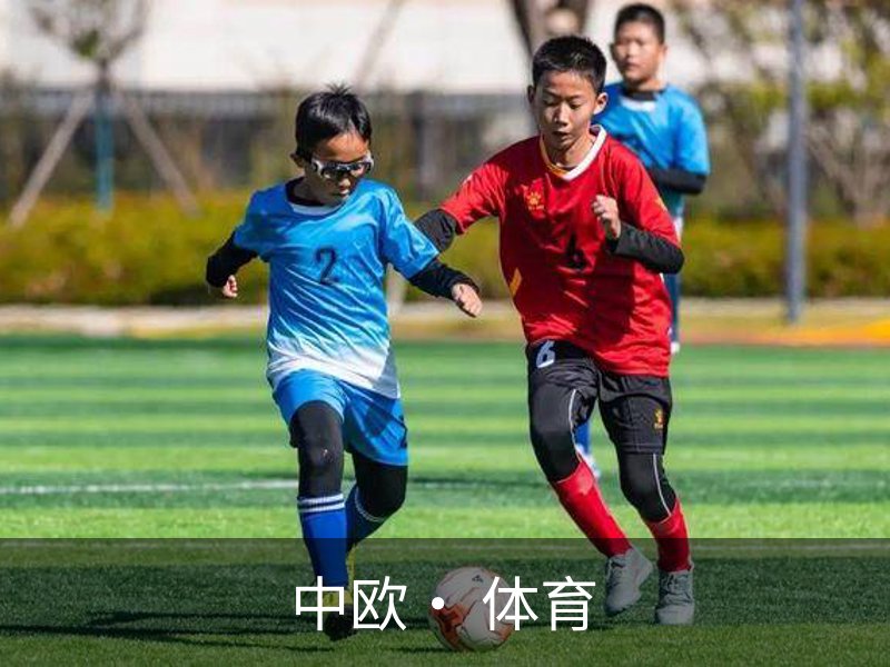 中欧· 体育概况